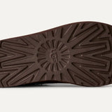 Tasman II, Dusted Cocoa