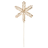 Joulukuusen tähti Ø21cm Clio Champagne