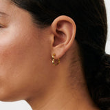 Affection Hoops, Gold