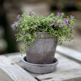 Helena RAW Ø14cm, Grey